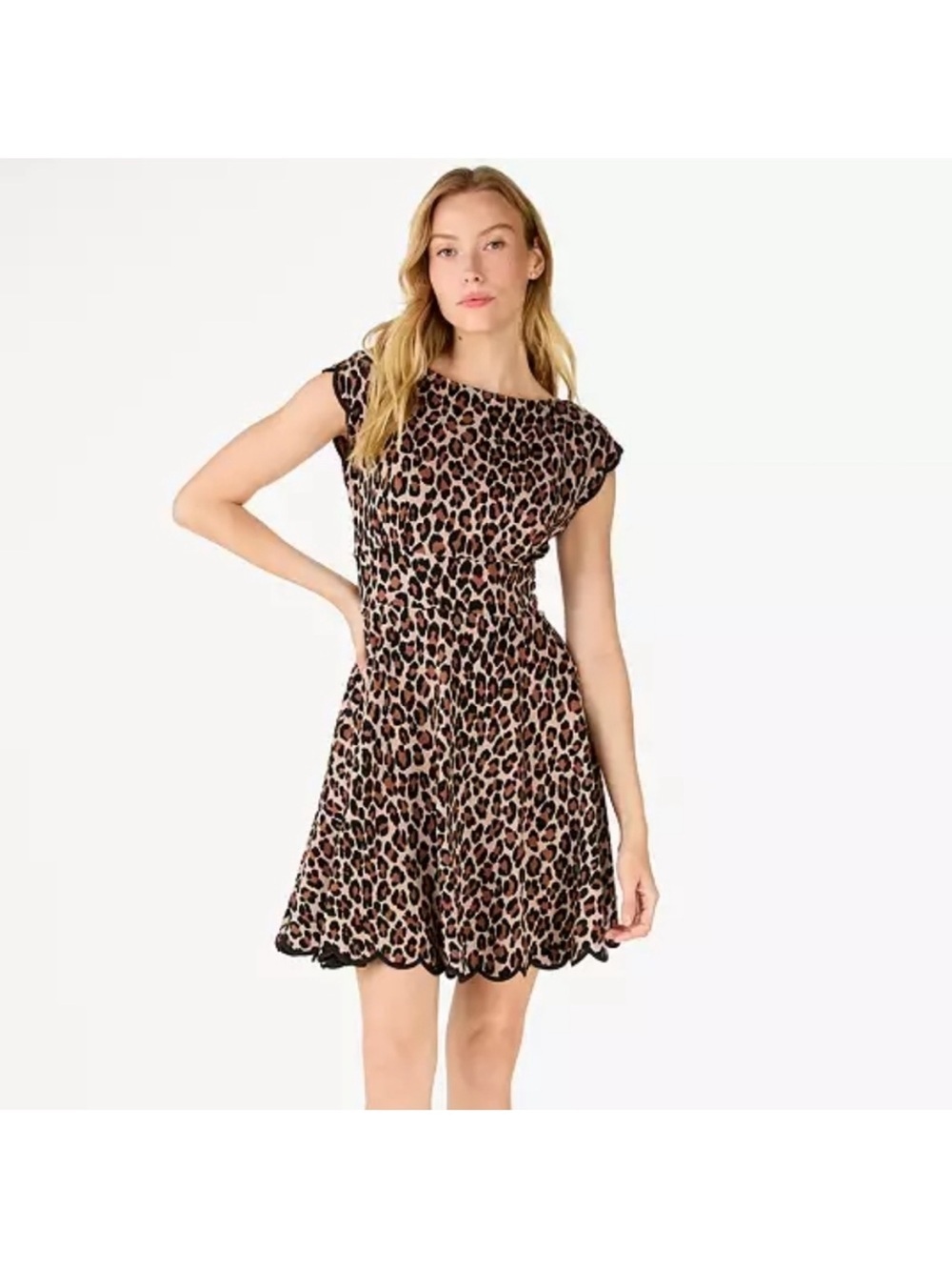 Kate Spade Spotted Leopard -Print Cap Sleeve Fiorella Dress Sz Medium NWT
